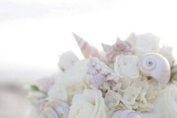 Shells bouquet