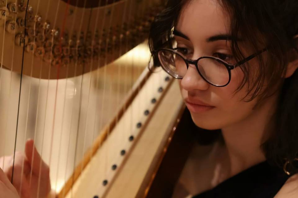 Silvia Zandegù