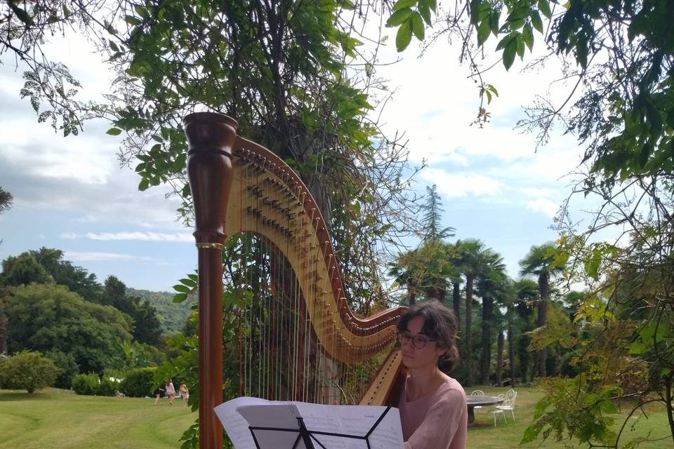 Matrimonio