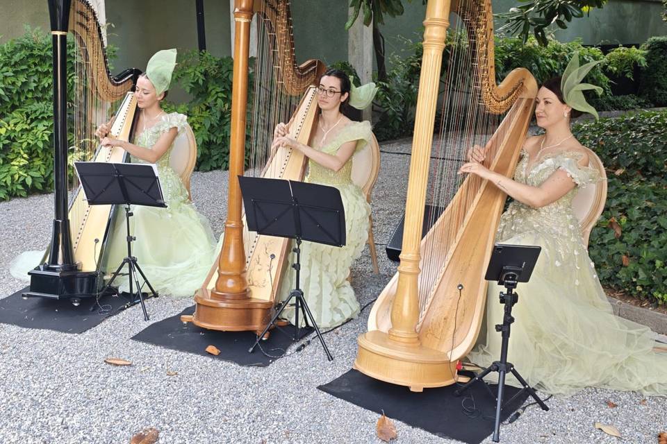 Trio di arpe