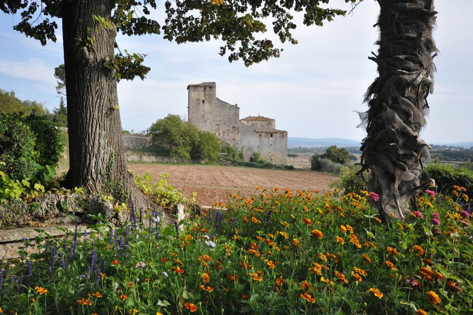 Villa di Toiano