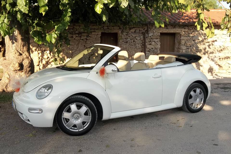 Maggiolone cabrio