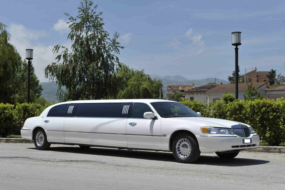 Limousine