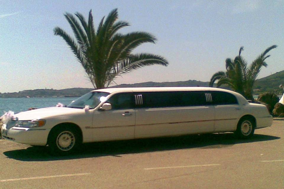 Limousine