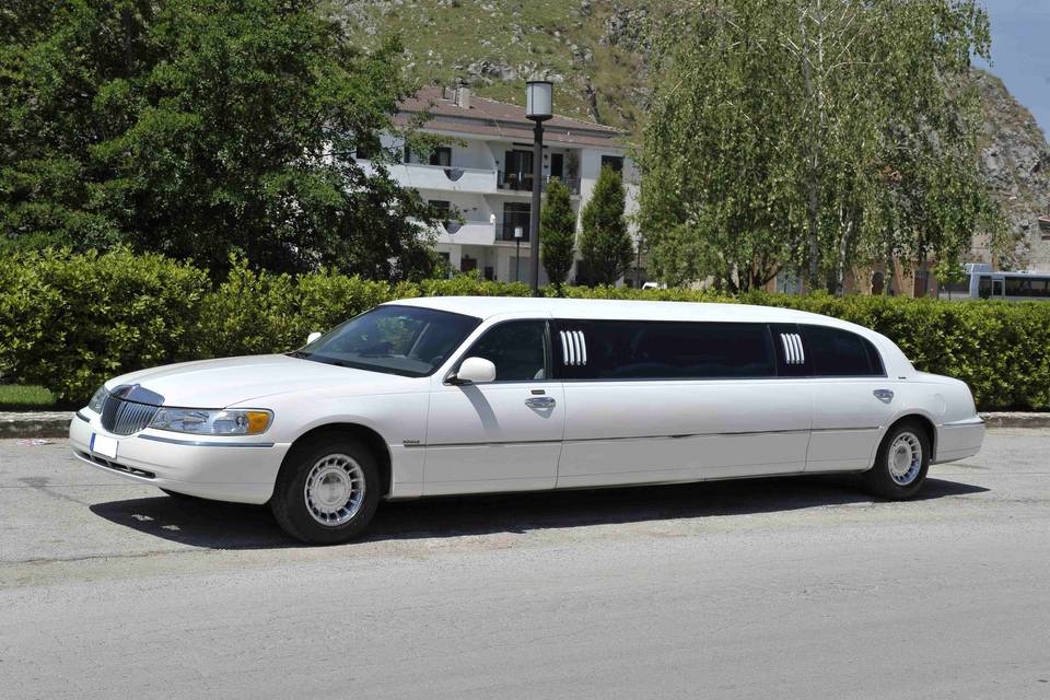 Limousine