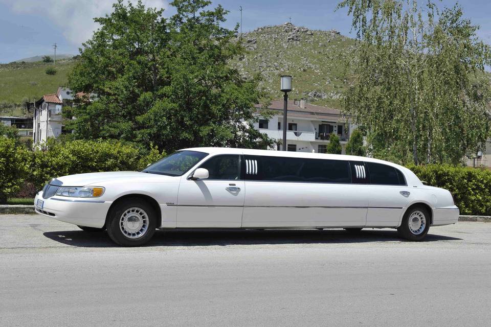 Limousine