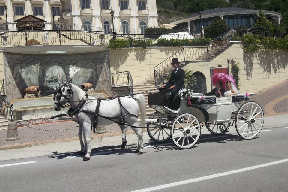 Carrozza bianca