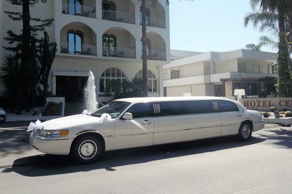 Limousine