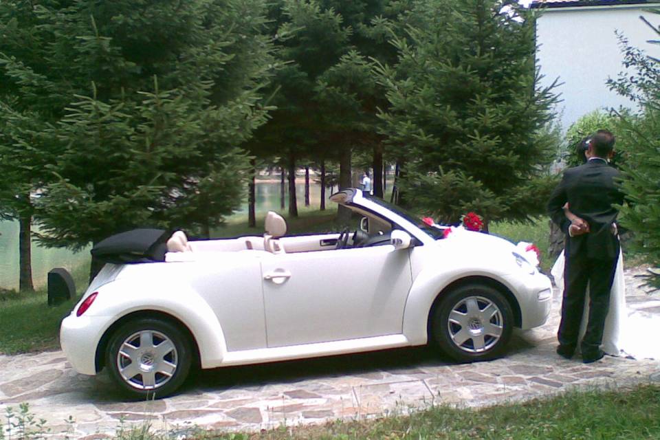 New Beetle cabrio