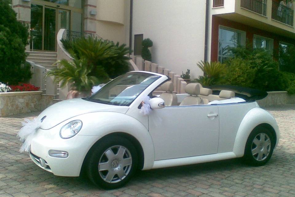 New Beetle cabrio