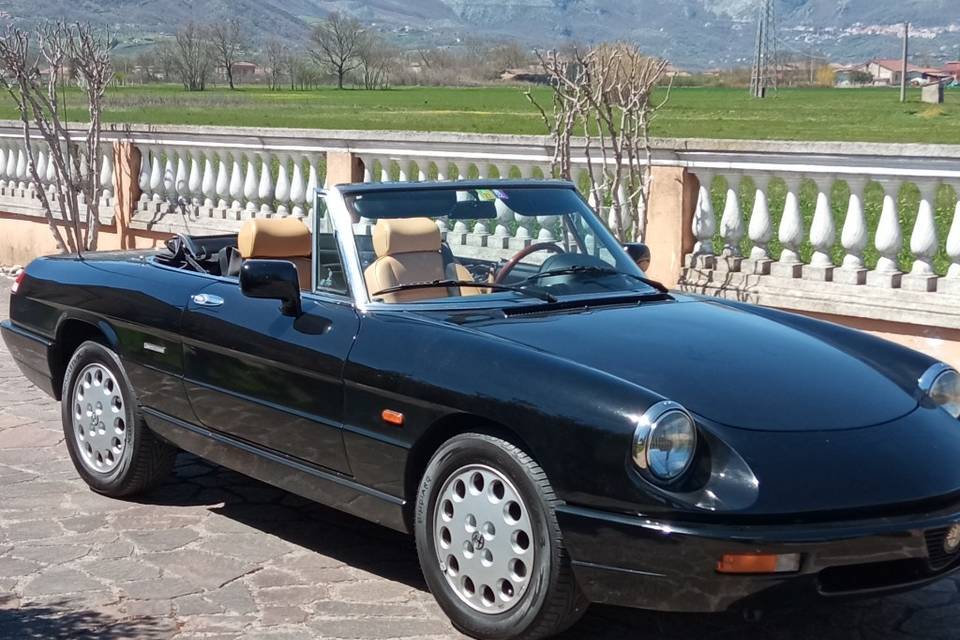 Alfa Romeo Spider