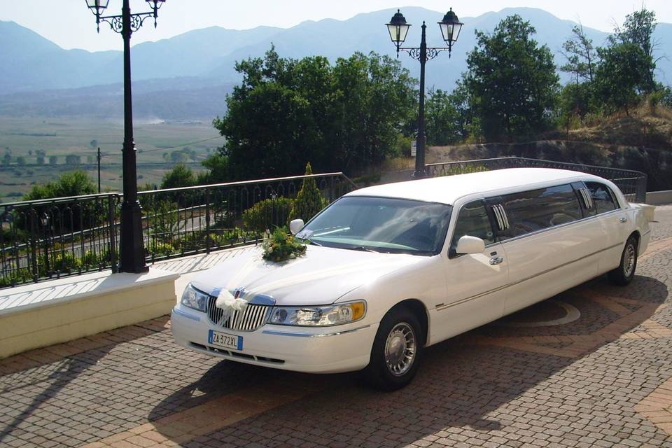 Limousine