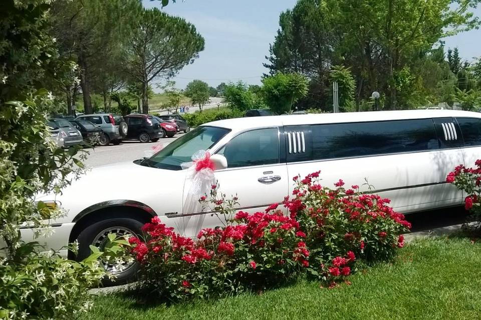 Limousine