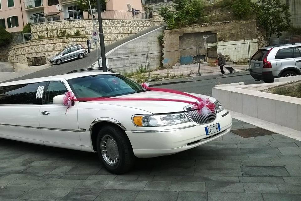 Limousine