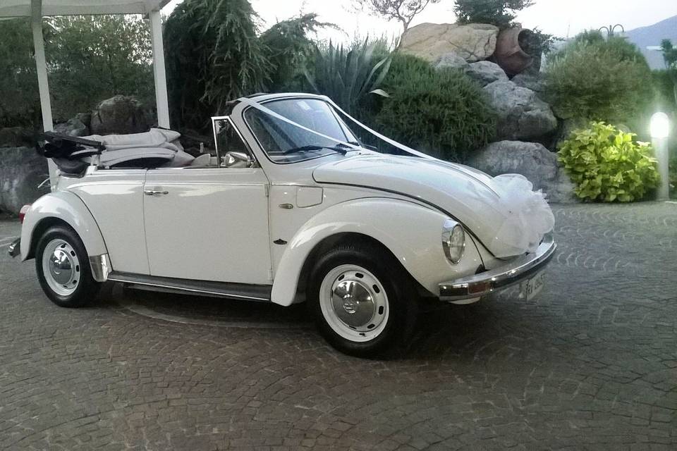 Maggiolone cabrio