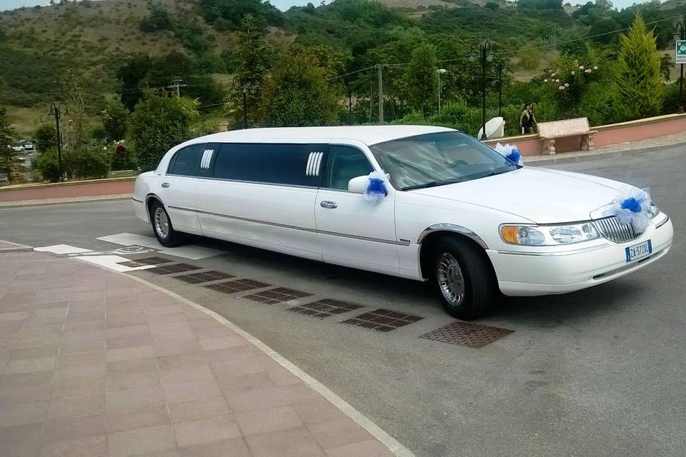 Limousine