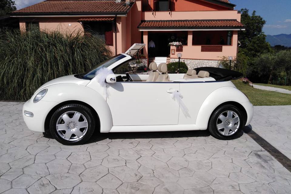 New Beetle cabrio