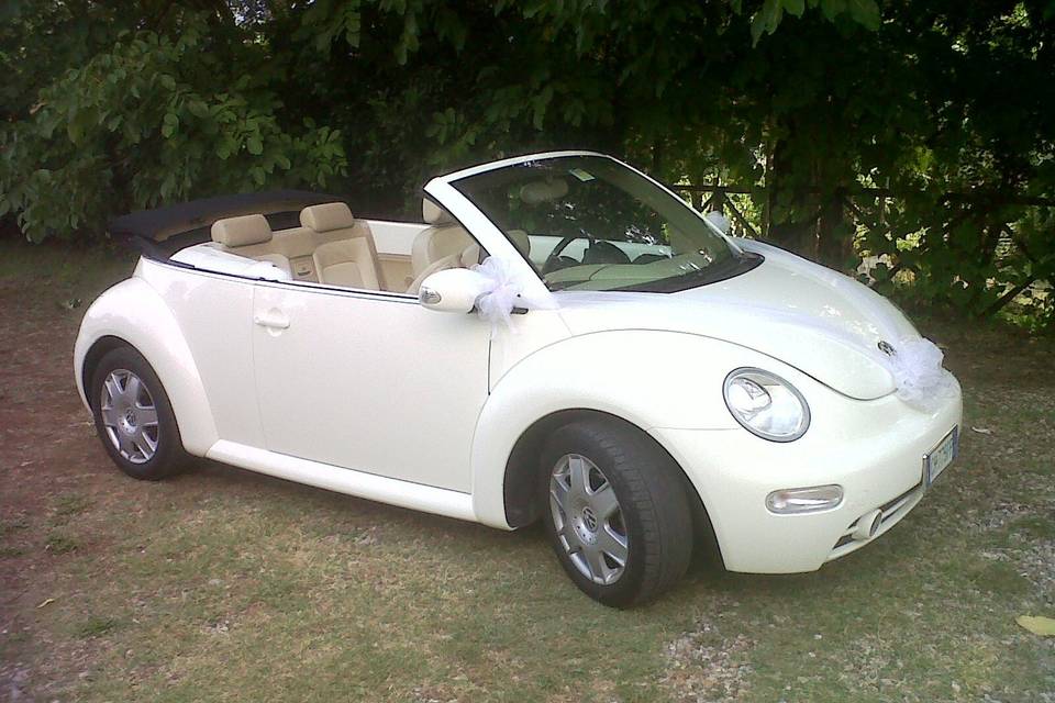 New Beetle cabrio