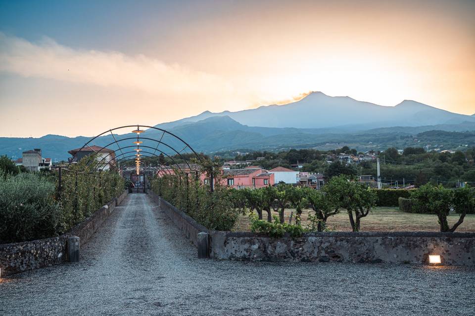 Tenuta voscenza