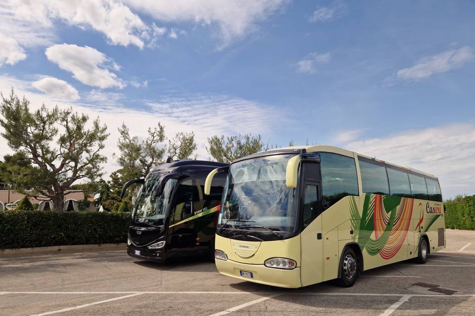 Autobus