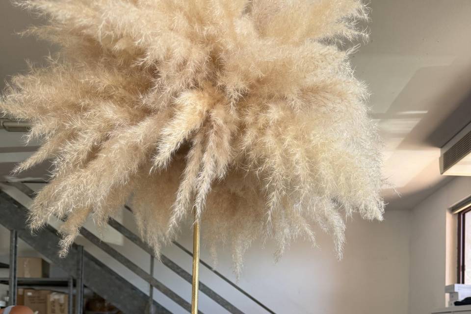 Matrimonio