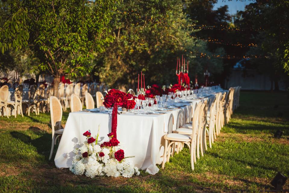 Matrimonio