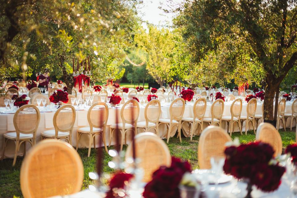Matrimonio