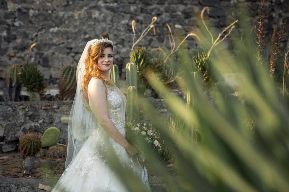 Wedding In Sicily