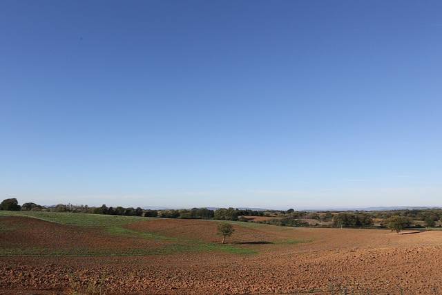 Paesaggi