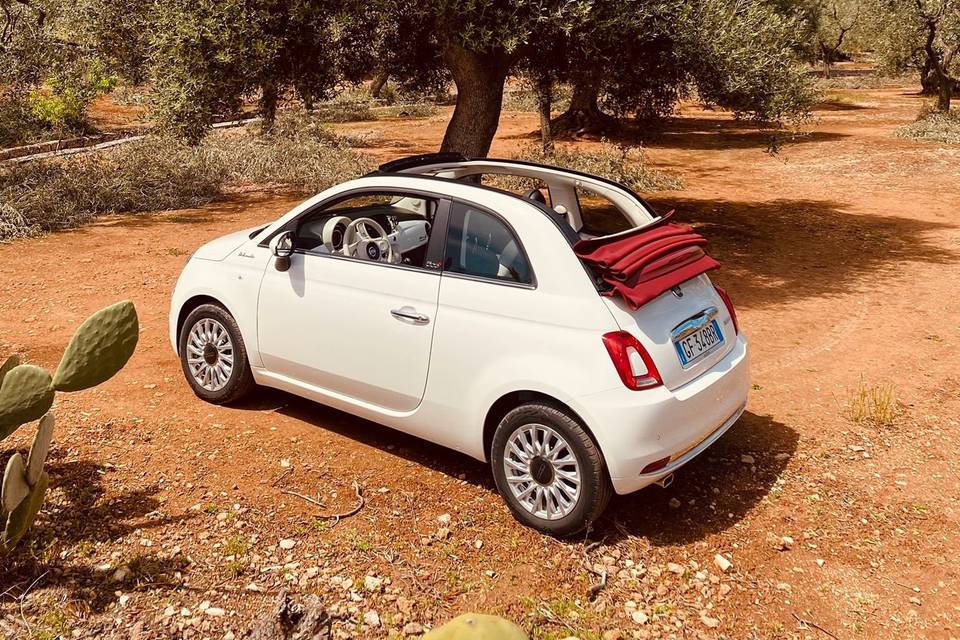 500 c Dolcevita