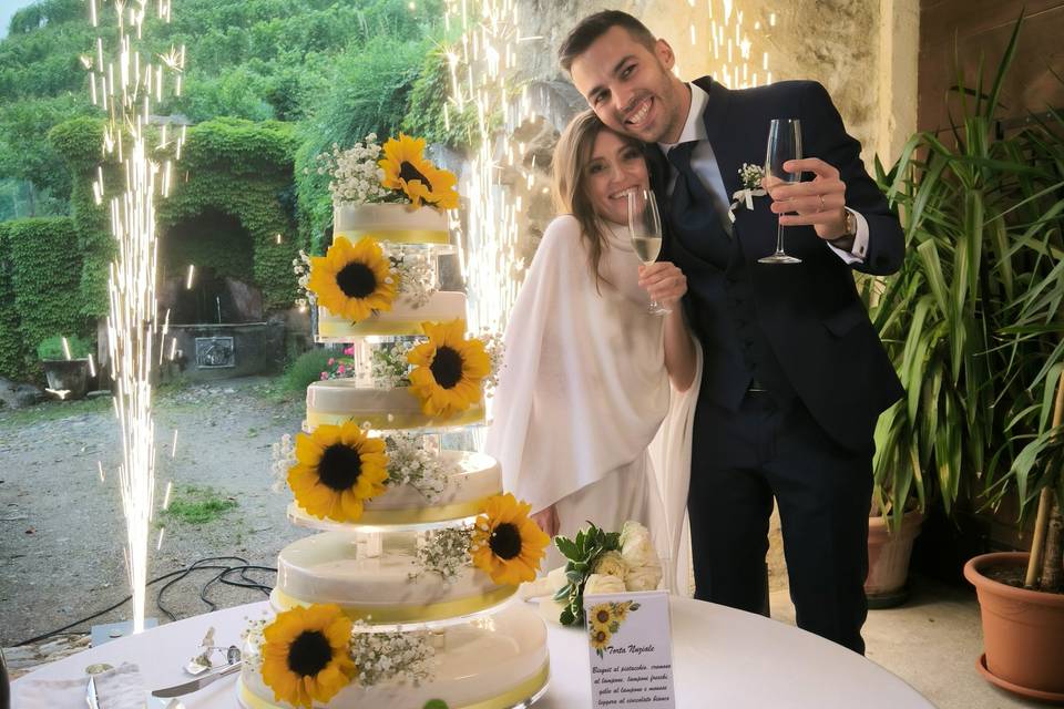 Taglio Torta Triacca