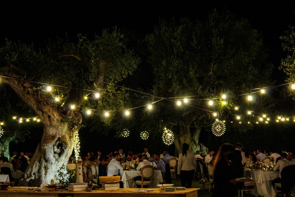 Puglia Luminarie