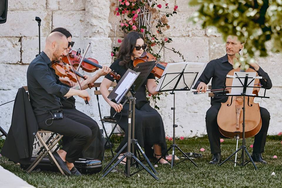 Ceremony Strings quartet