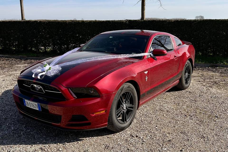 Muscle Car
