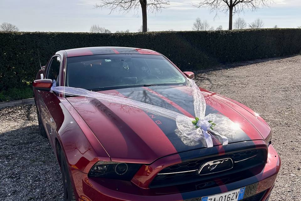 Mustang