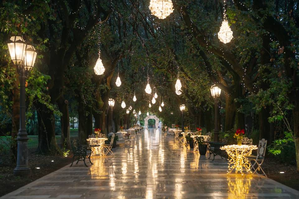 Viale alberato