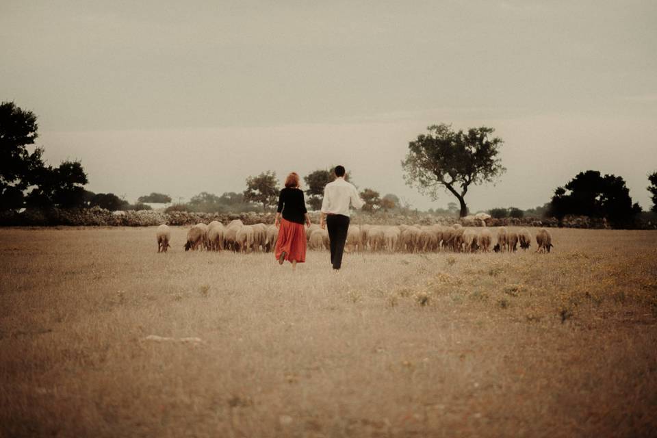 Scene