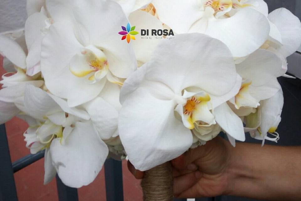 Di Rosa Floral Designer