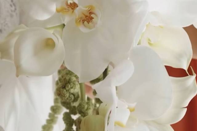 Mloneek Flower & Balloon Design