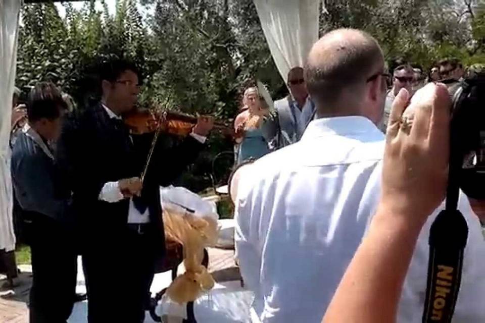 Violino al rito civile