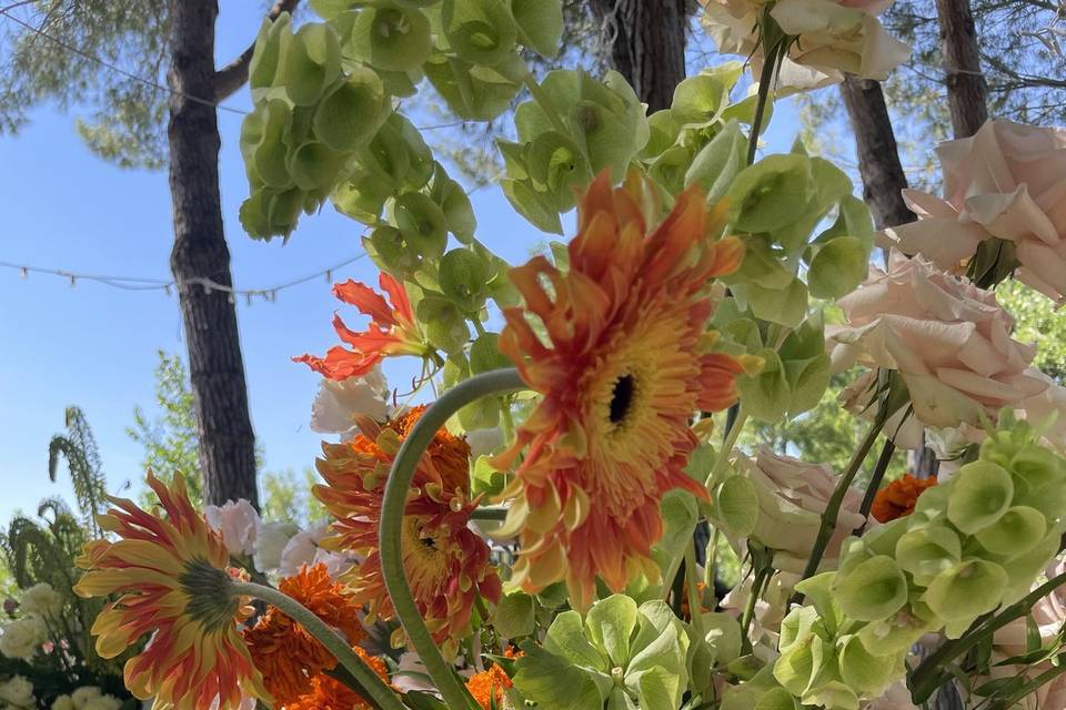 Composizione floreale