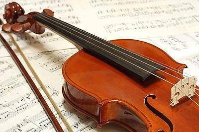 Violino