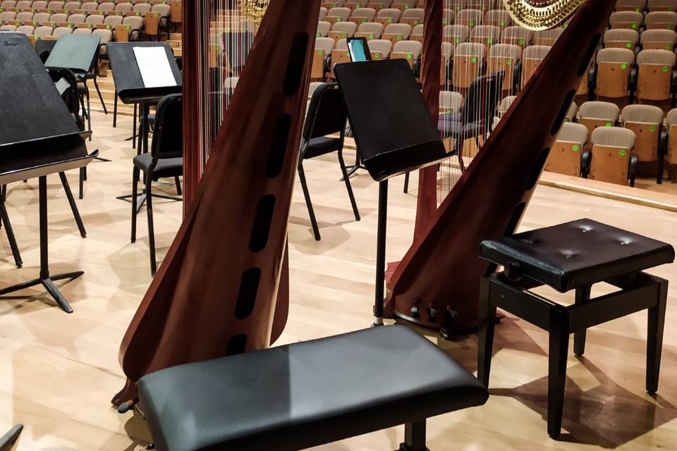 Concerto a Siviglia