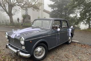 Lucio - Fiat 1100 D