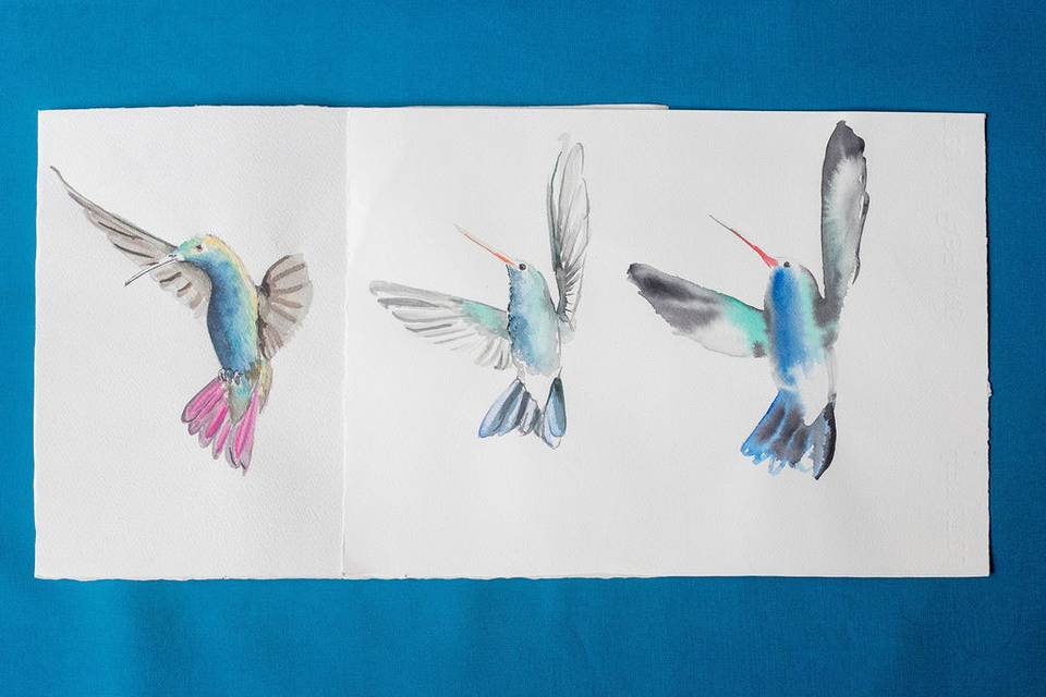Colibrì