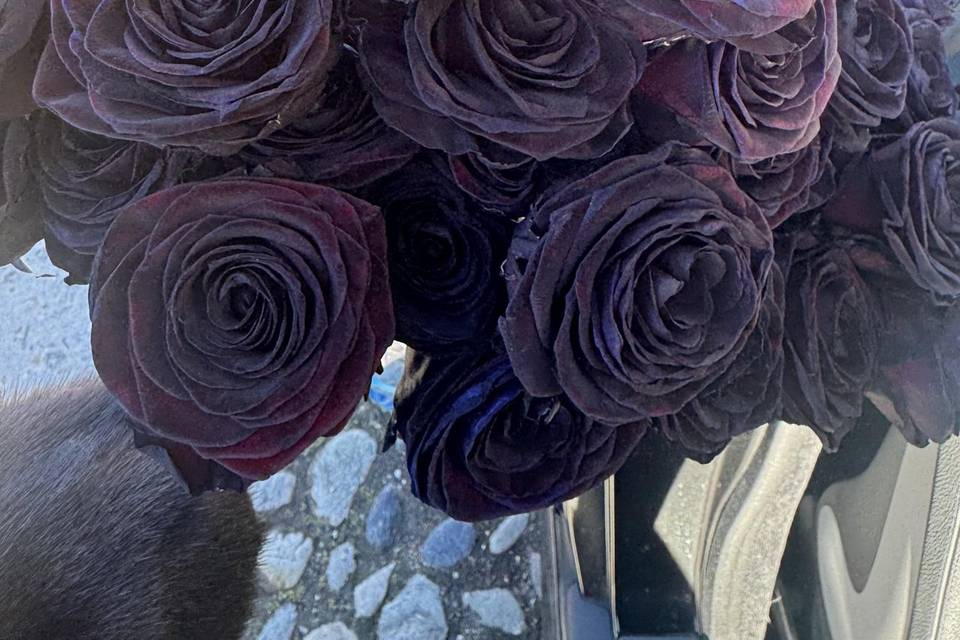 Rose nere
