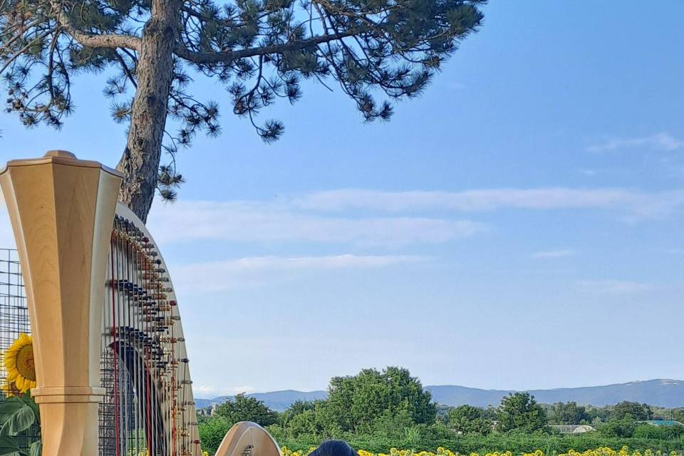 Musica e Poesie a Moraro