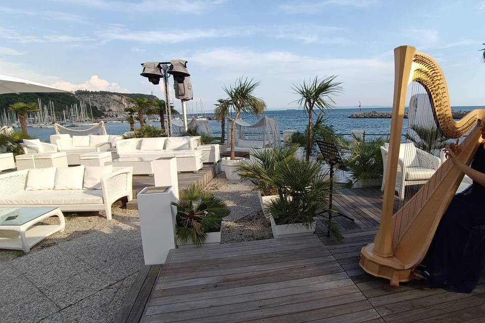 Collio & the Beach 2025