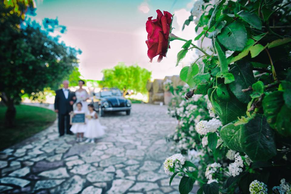 Matrimonio country