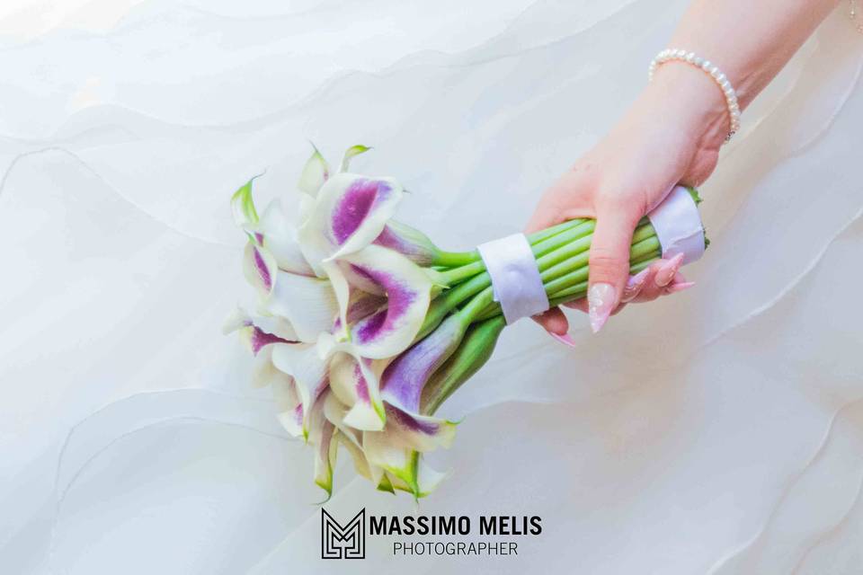 Massimo Melis Photographer